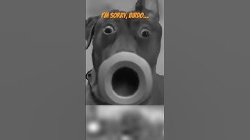 I’m Sorry, Birdo… #funny #mariokartworld #mario #birdo #mariokart