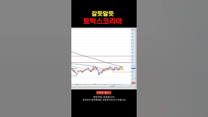 토박스코리아 주가 전망 차트 분석