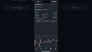 Pippin Usdt Ma Fresh 193 Profit  Crypto  Cryptocurrency  futuretrading trading binancelisted