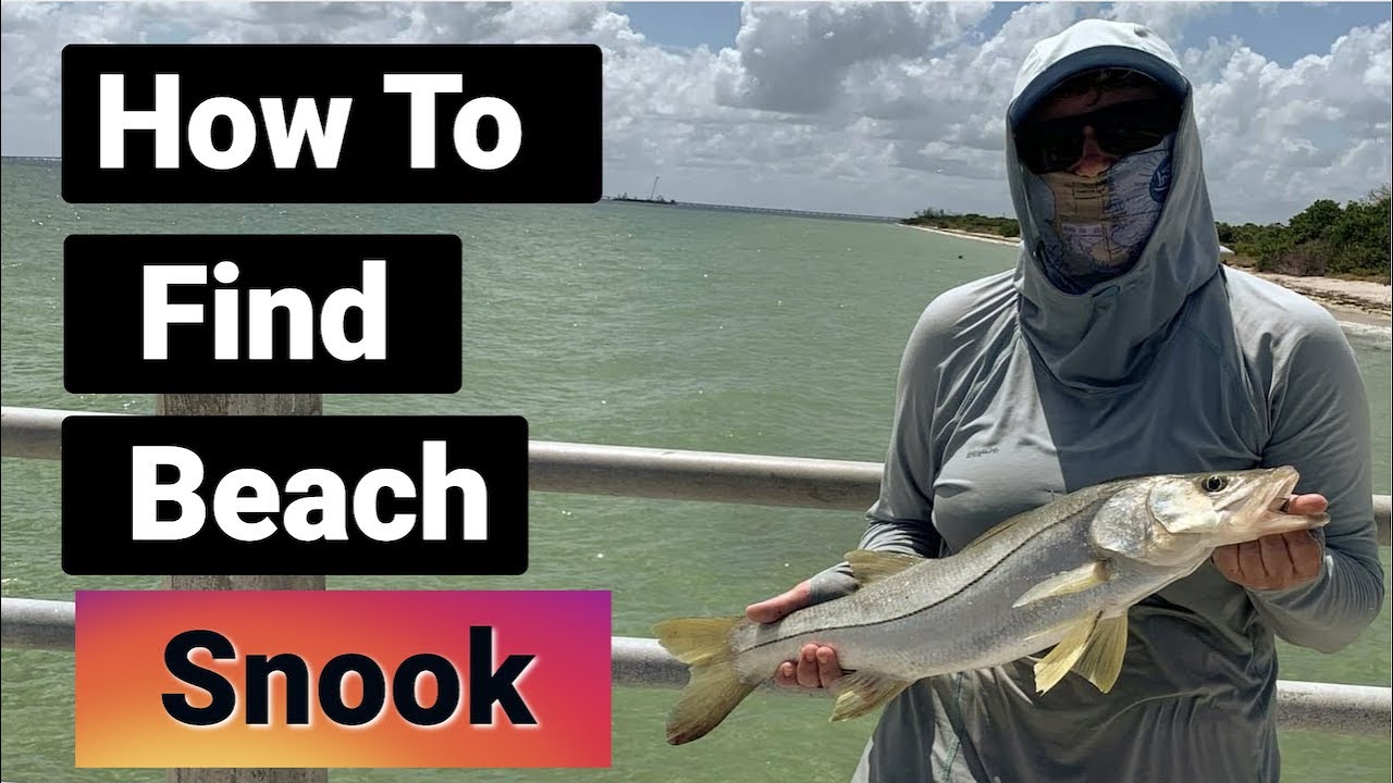 Snook Fly Fishing Finding Snook At The Beach! YouTube