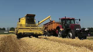 Wintergerst Combinen Met Een New Holland Clayson 8070