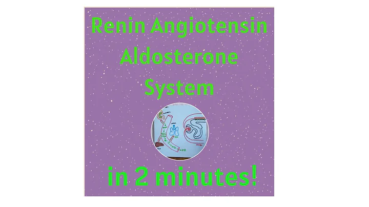 Renin Angiotensin Aldosterone System in under 2 mins!