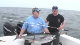 Chasing Topwater Tuna with Riptide Charters
