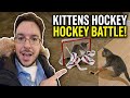 Adorable kittens take on ball hockey