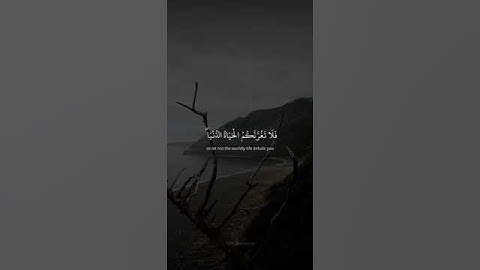 عندما تشعر بالوحدة القرآن الكريم هو أفضل صديق لتكون معه🤍. #قرآن #quran #ارح_قلبك