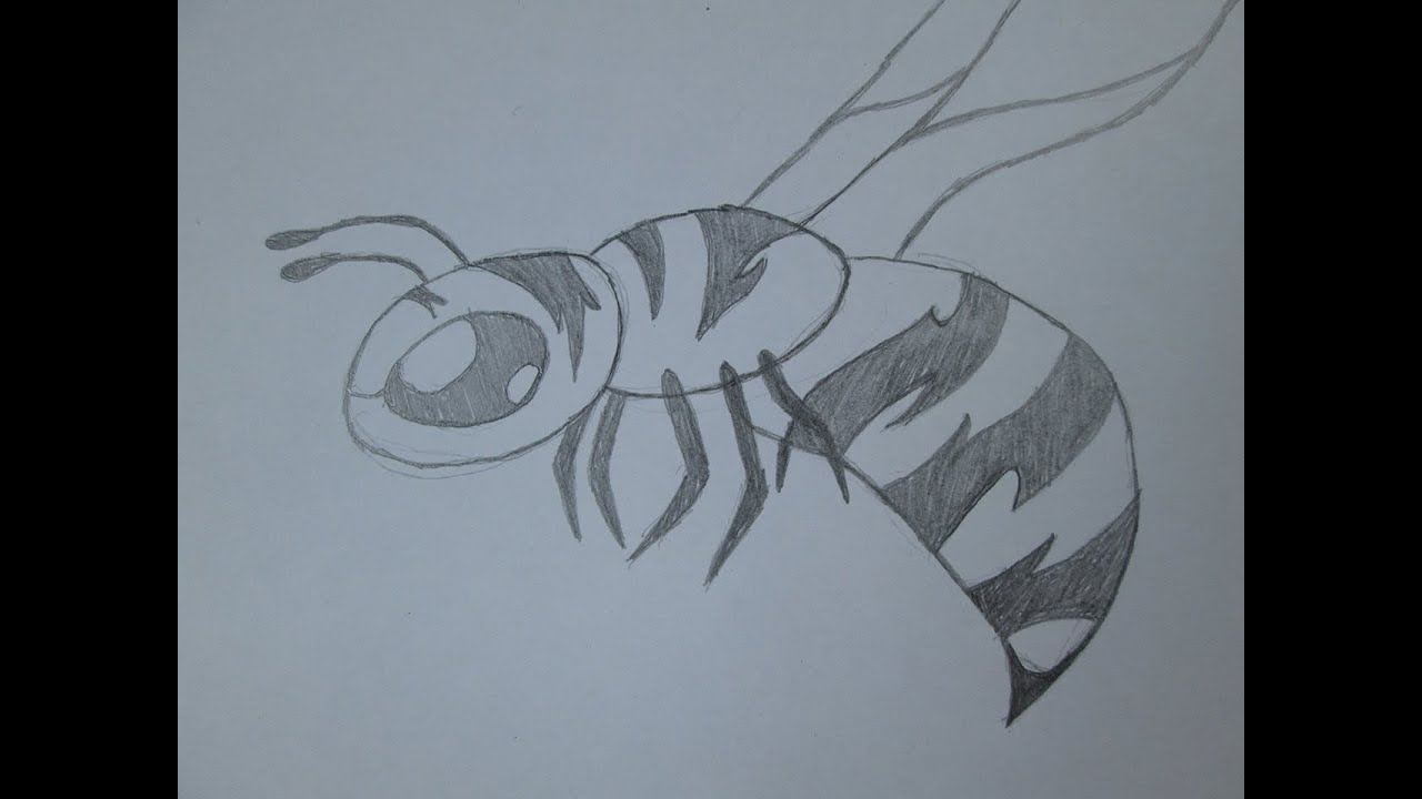 How to draw a bee - YouTube
