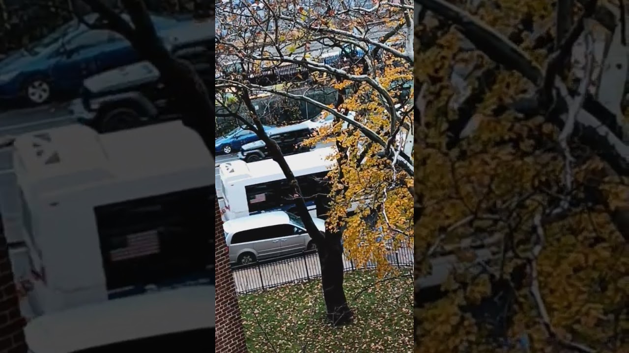 MTA: Bx40 Bus (2010 Novabus LFS Articulated 1255) | November 22, 2023