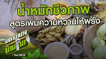 น้ำหมักชีวภาพ : สูตรลับฉบับบ้านนา (13 ต.ค. 62)