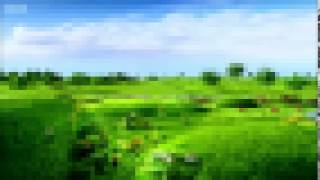 Reboot Teletubbies Ending - Instrumental