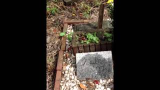 手作りの犬の墓