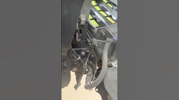 Hino serpentine belt or tensioner sound?