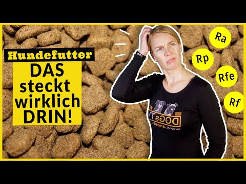 Video: Was ist Rohfett, Protein & Ballaststoffe in Hundefutter?