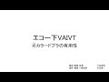 エコー下VAIVT（カラードプラの有用性）