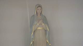 Epiphany Cathedral Stream Event #7