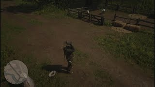 RDR2 Red Dead Redemption 2: Guarma Sun Hat for Arthur in Chapter 2