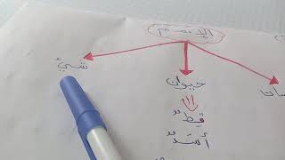 الاسم  و  انواعه