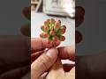 Coloring Jelly beans -clay succulents #claycraft #claysucculents #diy
