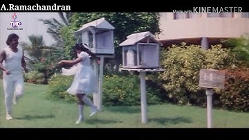 kuyile kuyile konjum thamizh - pulan visarnai movie songs