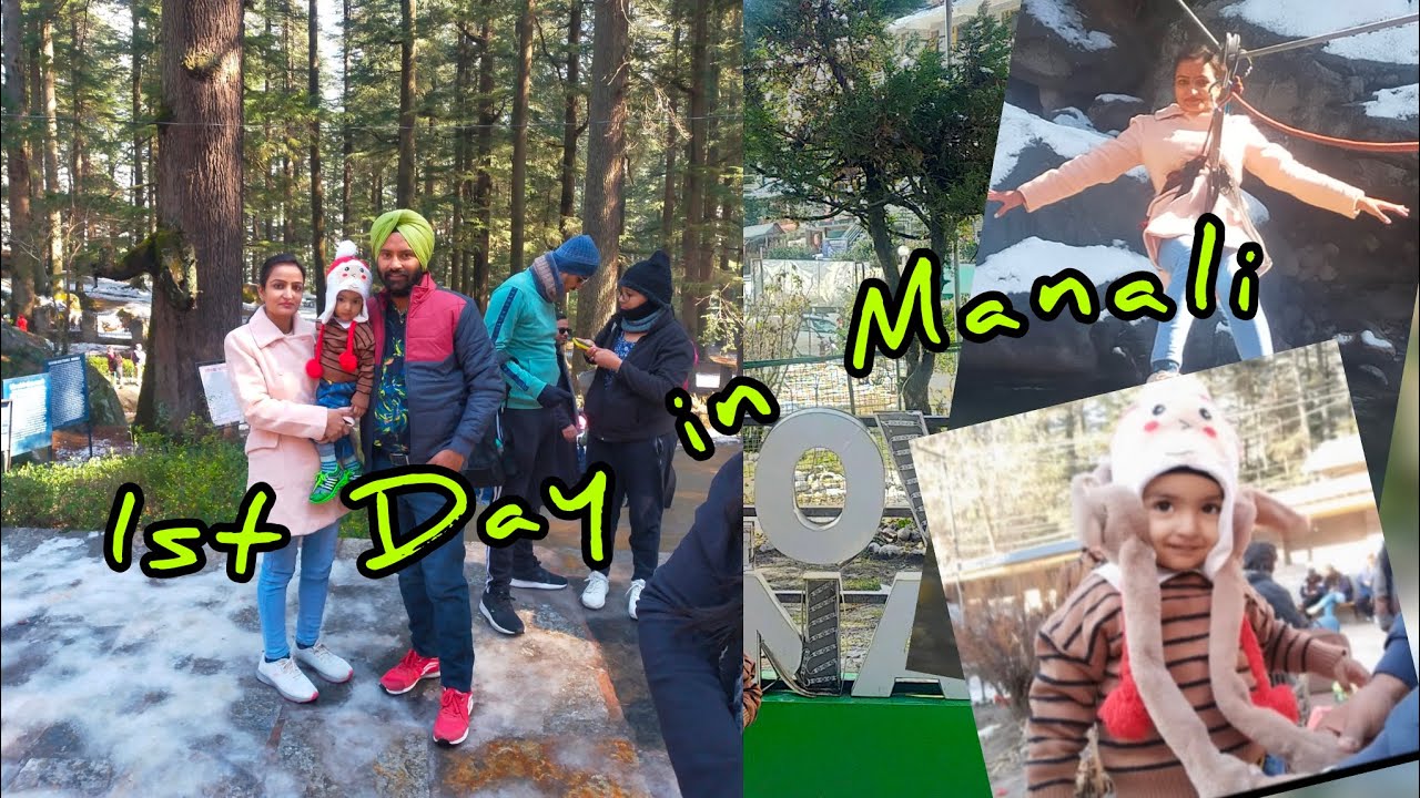 Manali Rabit 1st Day in Manali /Manali mall road/ hidimba temple/ rabbit 🐇/ manali ...