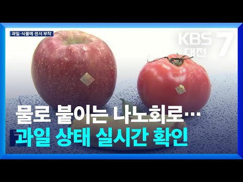 물로 붙이는 나노회로…과일 상태 <strong>실시간</strong> 확인 / <strong>KBS</strong>  2026.06.15.
