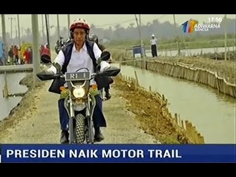 Otak udang naik motor