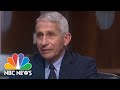 Fauci Says New Swine Flu Strain Will Be Monitored But It Is Not 'An Immediate Threat' | NBC News NOW