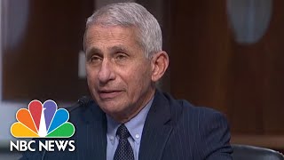 Fauci Says New Swine Flu Strain Will Be Monitored But It Is Not 'An Immediate Threat' | NBC News NOW
