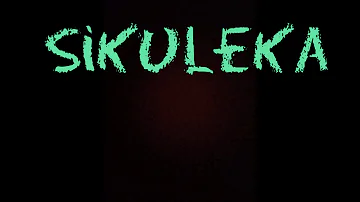 Sikuleka - ALLAN TONIKS (Official Lirycal video )HD