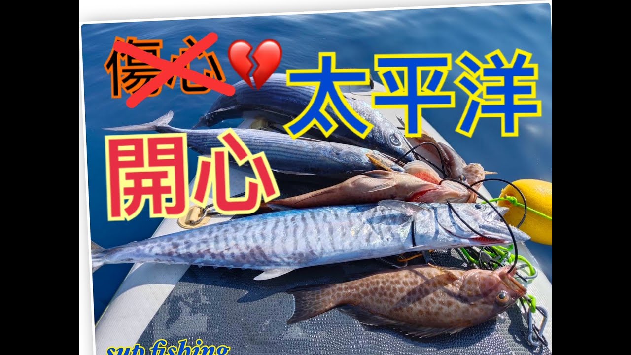 2025年4月東遊記第二彈  #土魠 #煙仔虎 #石斑 #馬鞭 #supfishing #suptaiwan #shimano #太麻里