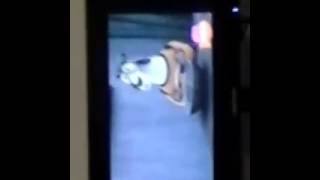 Kung Fu Panda Legends Of Awesomeness