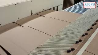 Ming Wei - Auto delivery output machine with counting function