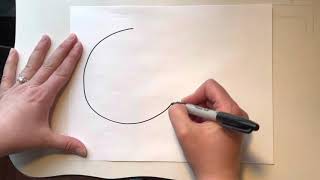 Plant Patterns Lesson 3