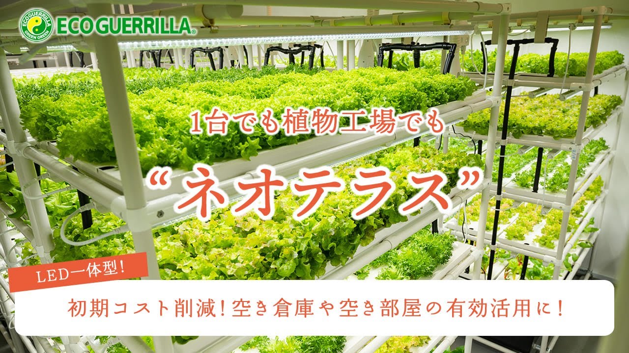 水耕栽培キット「ネオテラス」商品説明動画「植物工場・新規就農」をご