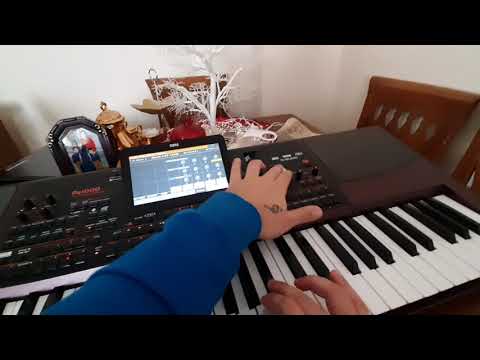 Korg Pa1000 halay