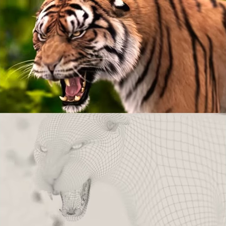 Bengal Tiger Rig