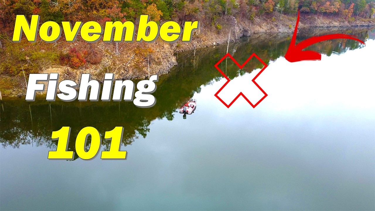 Bass CAN’T Resist These NOVEMBER BAITS