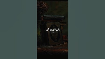 اكتب شيء تؤجر عليه ❤️😴 / القارئ ياسر الدوسري