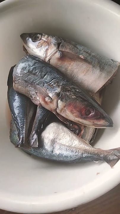 masak ikan asem2 dihip