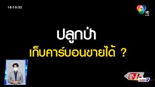 ตีตรงจุด : เปิดโลกคาร์บอนเครดิต แก้โลกร้อน-เสริมรายได้