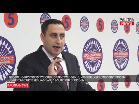 ცესკოს გადაწყვეტილებით, გრიგოლ ვაშაძე, არჩევნებში მონაწილეობას ნაციონალური მოძრაობის სახელით მიიღებს