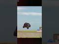Thar stand #thar #gaming #automobile #viralvideo #viral #carryminati #game #gameskhelkarpaisekai