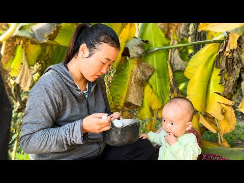 Building a new life in the mountains