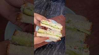 Viral Cucumber Sandwich 🥪 😋#shorts #ytshorts #food #recipe #sandwich #healthy