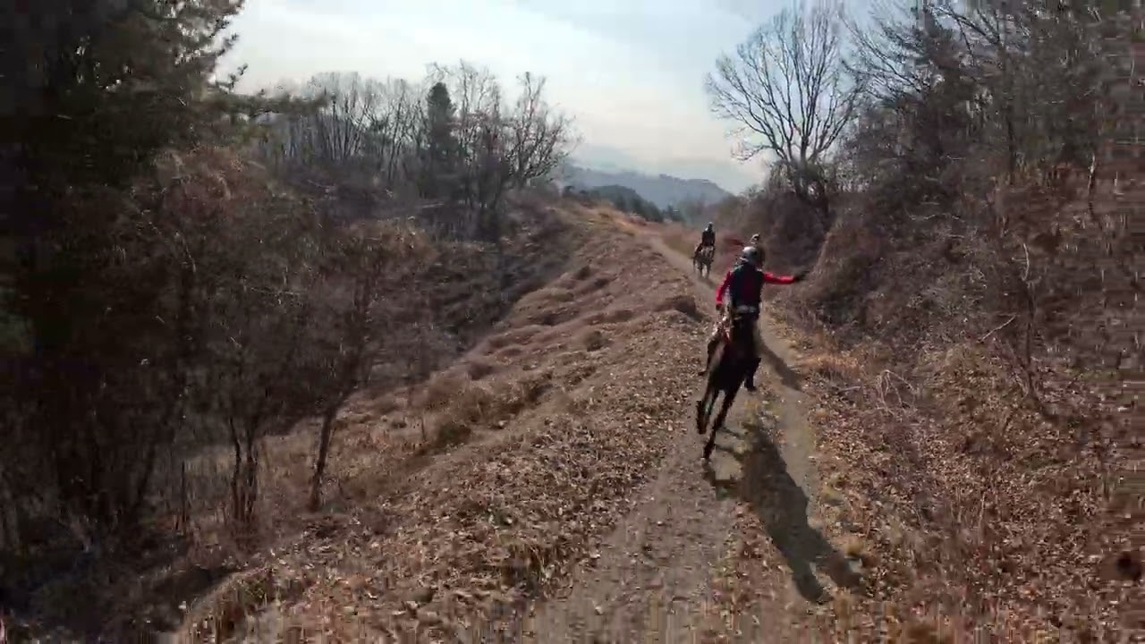 만인승마 두만길 12