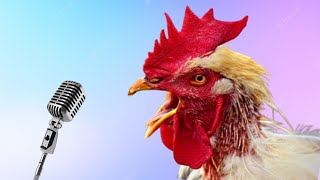 J.Geco - Chicken Song & Chicken Dance | Geco Remix 2