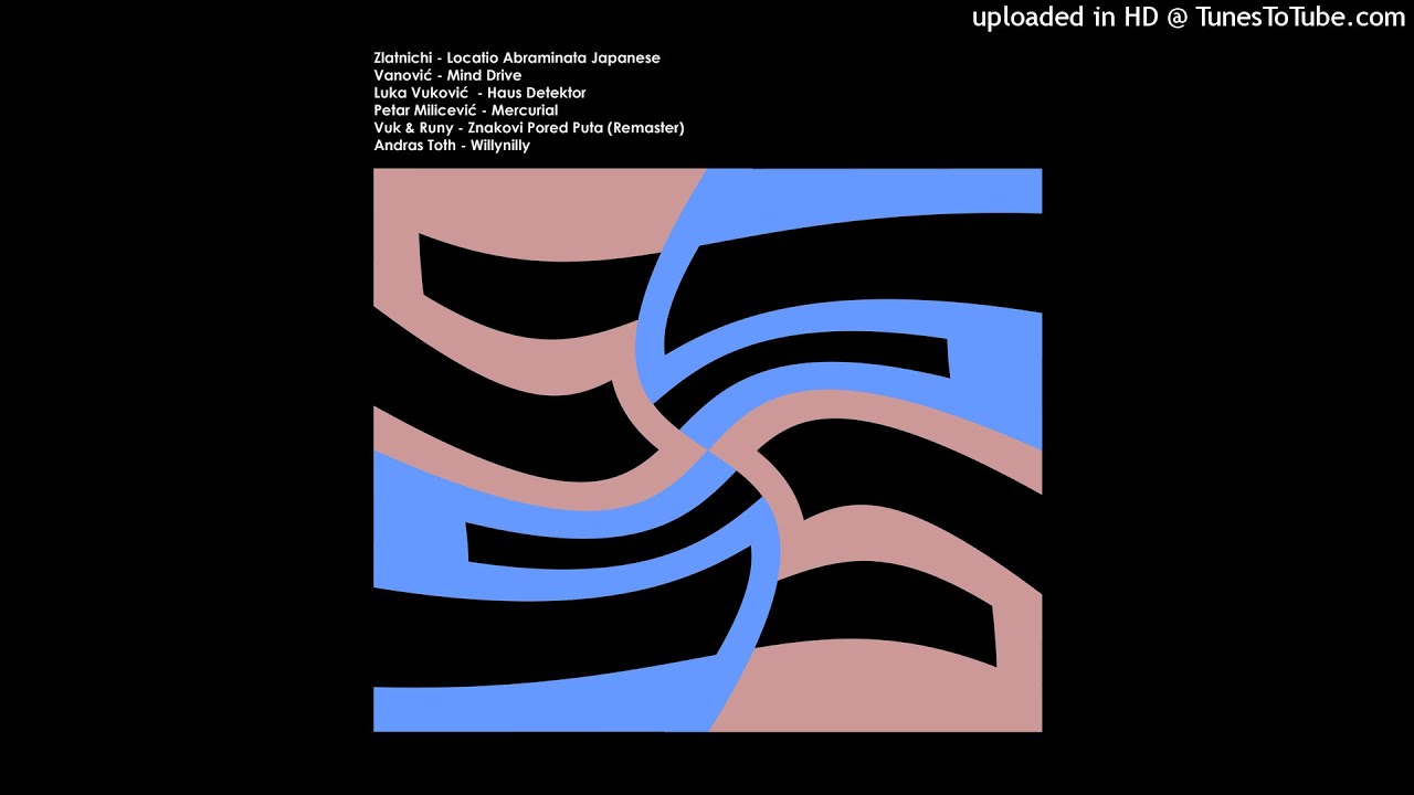 Luka Vukovic - Haus Detektor