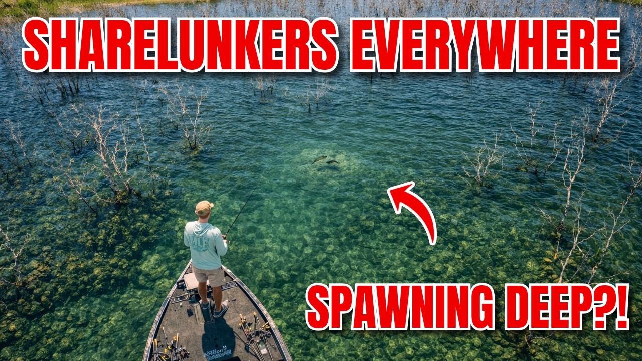I Found Some Giants SPAWNING DEEP! O.H. Ivie Practice Vlog (TrimmedUp S4E15)