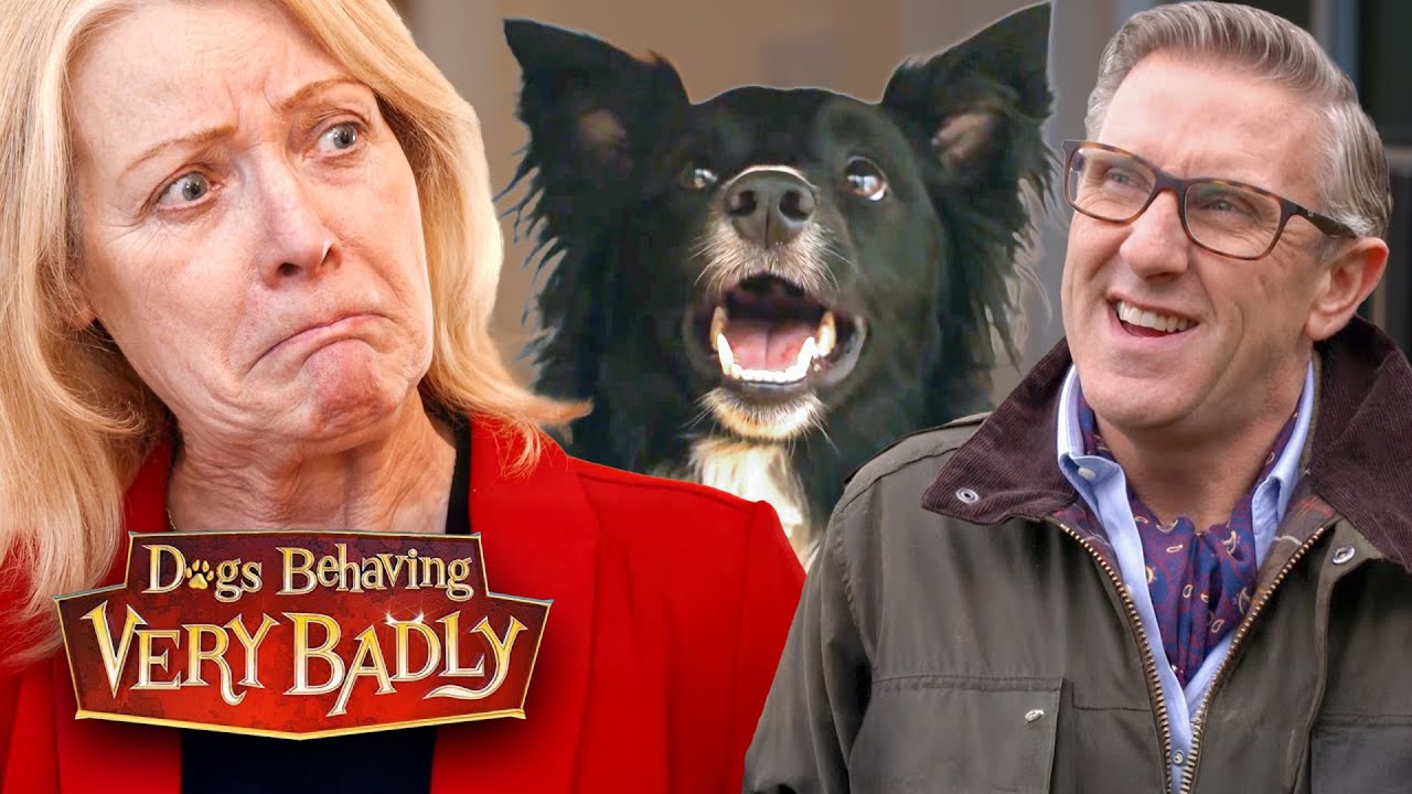 Extremely Bossy Dogs: The Alpha Pups That Call All the Shots!