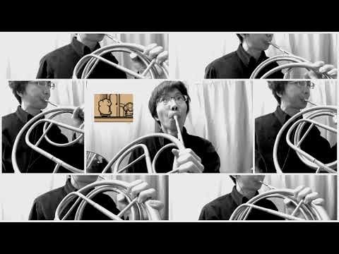[Natural Horn] Kirby - Green Greens Cluster / 星のカービィクラスター
