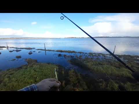 Video: Bedste fiskepladser i Arkansas